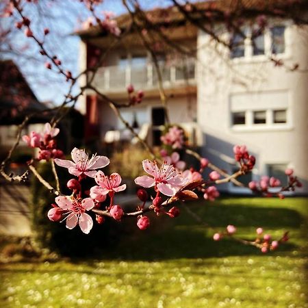 Ferienwohnung Im Aalbachtal - Uettingen Bei Wuerzburg ภายนอก รูปภาพ