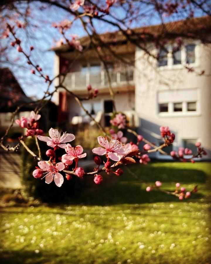 Ferienwohnung Im Aalbachtal - Uettingen Bei Wuerzburg ภายนอก รูปภาพ