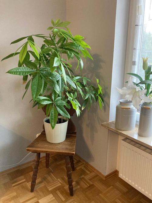 Ferienwohnung Im Aalbachtal - Uettingen Bei Wuerzburg ภายนอก รูปภาพ
